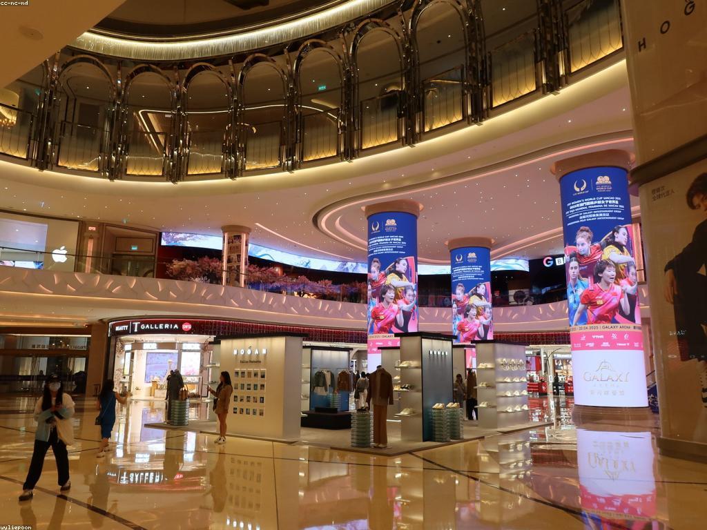 ព័ត៌មានកាស៊ីណូ៖ ការវិភាគនិងការយល់ដឹងថ្មីៗ