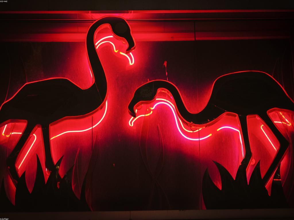 និន្នាការថ្មីៗនៅក្នុងព័ត៌មានកាស៊ីណូ