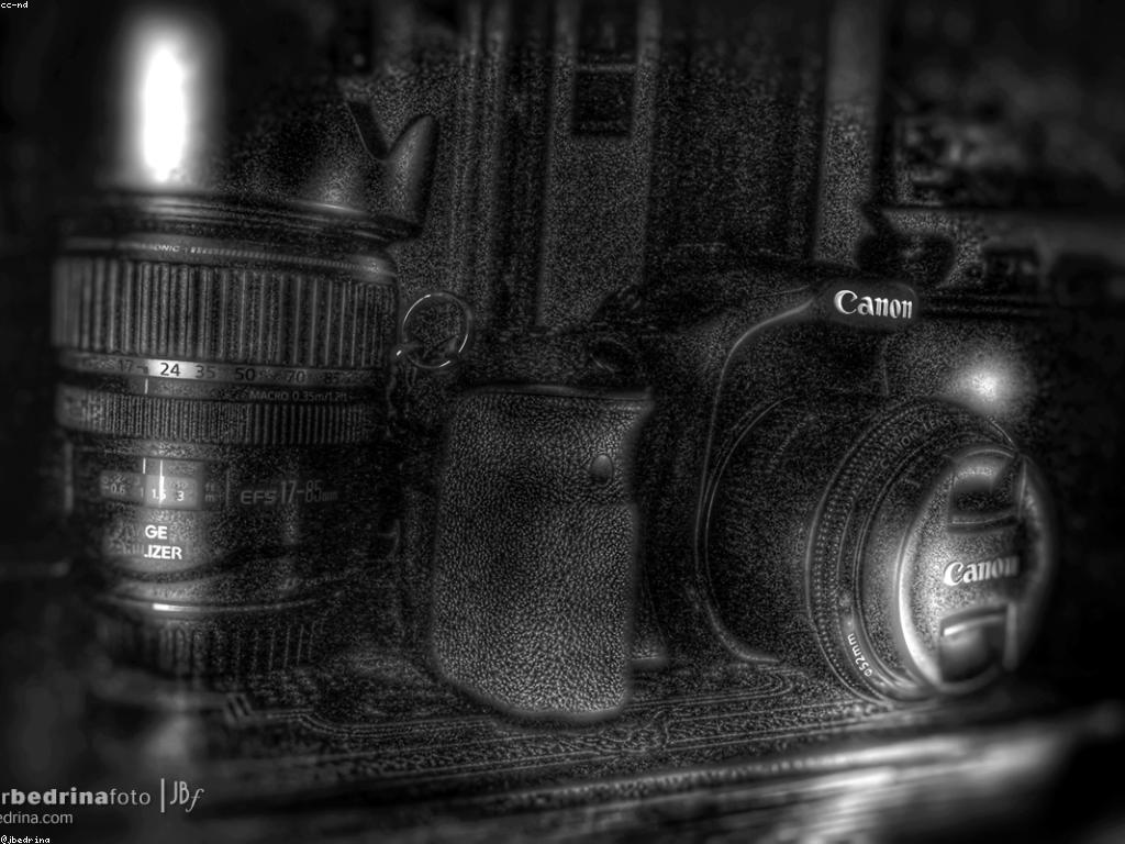 សំណាងសម្រាប់អ្នកចាប់ផ្តើមលេងស្លូត